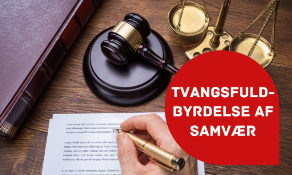 Boernejura.dk billede til artikel (1) Tvangsfuldbyrdelse af samvær artikel