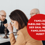 Familiemægling artikel