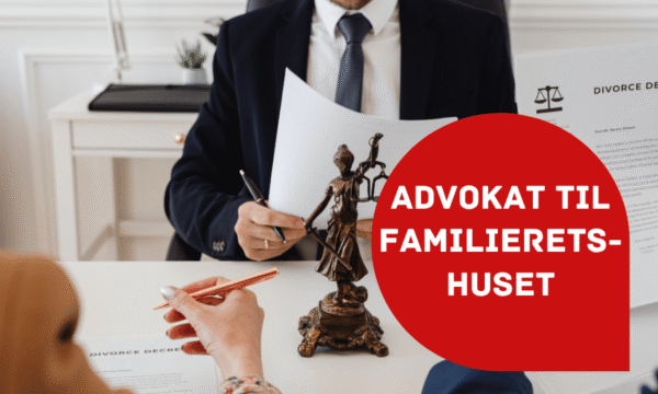 Boernejura.dk billede til artikel (2) Advokat Familieretshuset