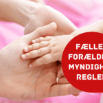 Fælles forældremyndighed regler artikel