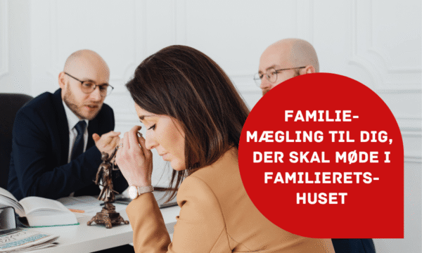Boernejura.dk billede til artikel Familiemægling artikel