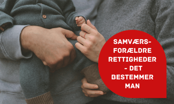 Boernejura.dk billede til artikel (7) Samværsforældre rettigheder