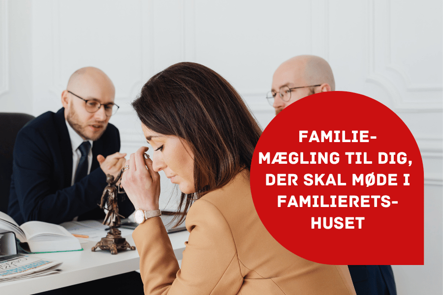 Familiemægling artikel