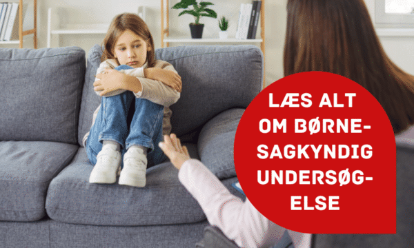 Børnesagkyndig undersøgelse Børnesagkyndig undersøgelse