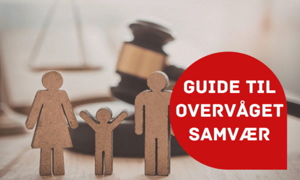 Guide til overvåget samvær Guide til overvåget samvær